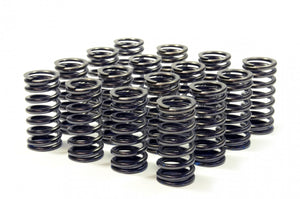 RCM V3/4 Uprated Valve Springs