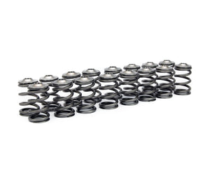 Fuji Racing Single Valve Spring & Titanium Retainer Kit